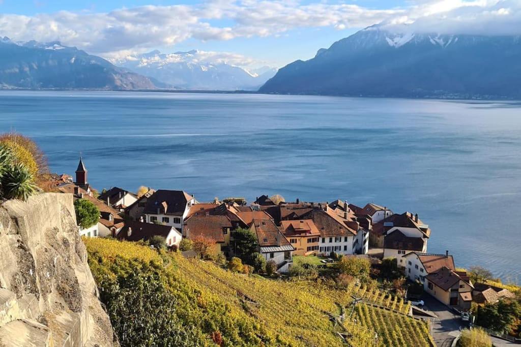 Le Toit De Chardonne - Entre Alpes Et Lac Leman Exterior photo