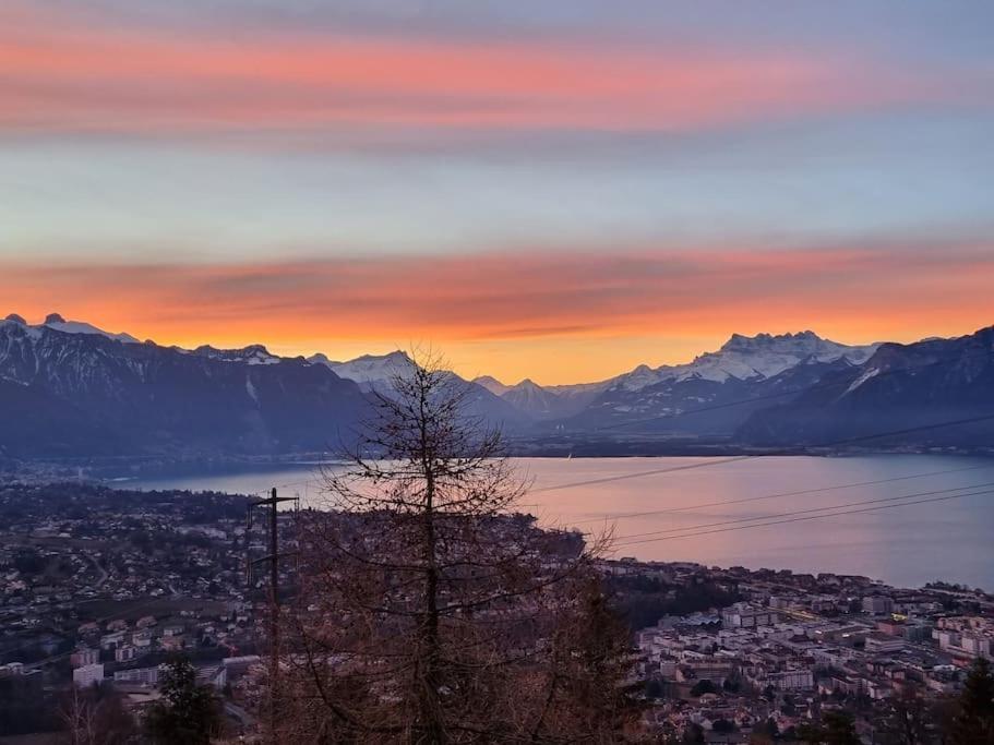 Le Toit De Chardonne - Entre Alpes Et Lac Leman Exterior photo